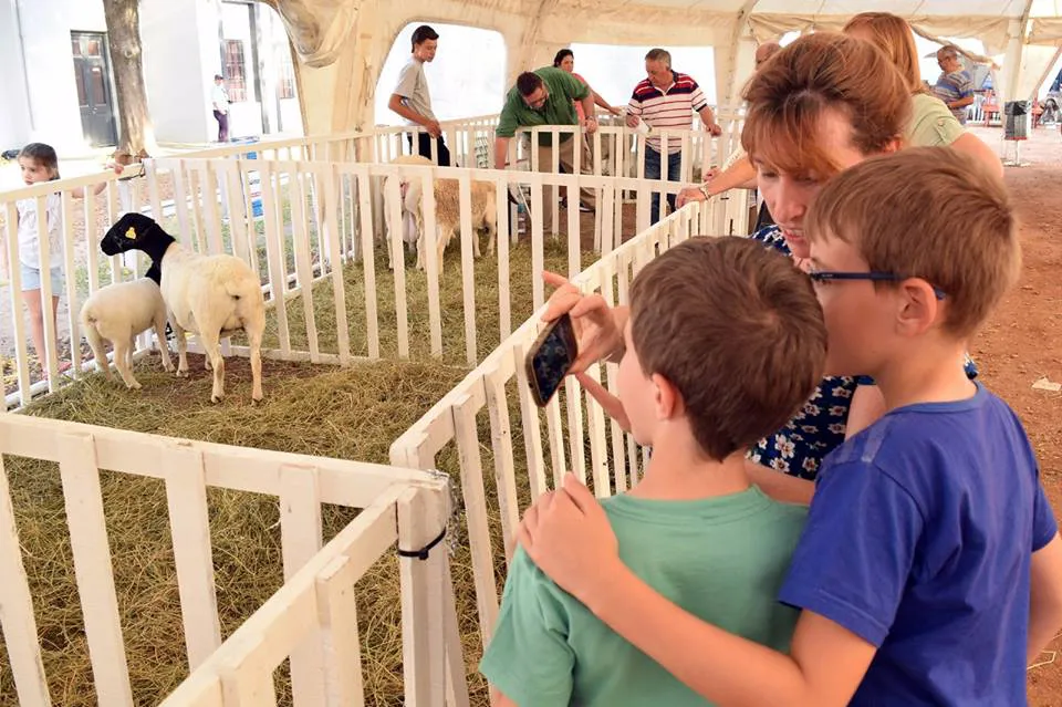 441551600_968826391699806_5464748497877781554_n