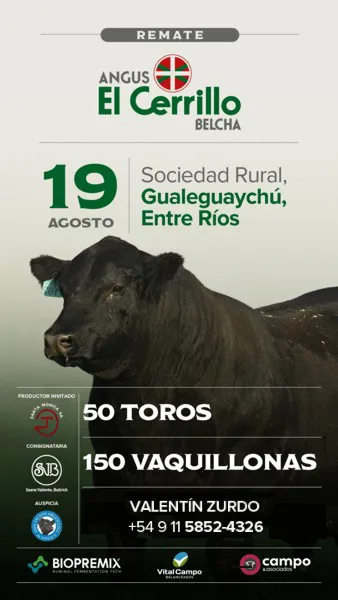 85740f00-7363-4ab8-ae8c-d24b76177d5aR1C1