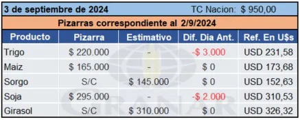 WhatsApp Image 2024-09-03 at 11.17.05