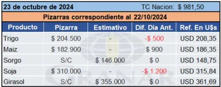 WhatsApp Image 2024-10-23 at 10.42.19