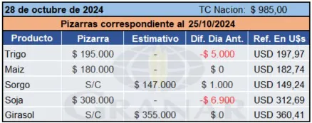 WhatsApp Image 2024-10-28 at 11.29.55