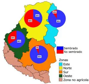 siembra-maiz-1-300x284