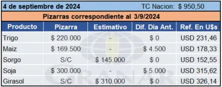 WhatsApp Image 2024-09-04 at 10.32.05