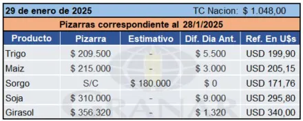 WhatsApp Image 2025-01-29 at 10.35.28