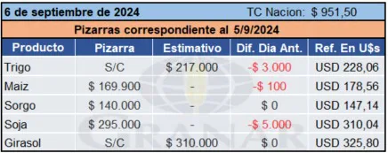 WhatsApp Image 2024-09-06 at 10.57.02 (1)