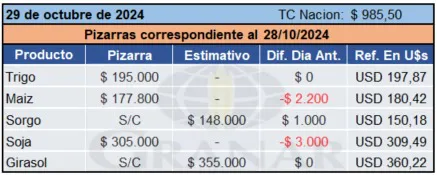 WhatsApp Image 2024-10-29 at 11.15.30