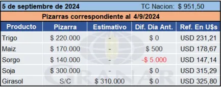 WhatsApp Image 2024-09-05 at 10.34.53