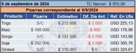 WhatsApp Image 2024-09-09 at 10.40.08
