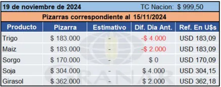 WhatsApp Image 2024-11-19 at 11.11.54