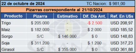 WhatsApp Image 2024-10-22 at 10.31.46