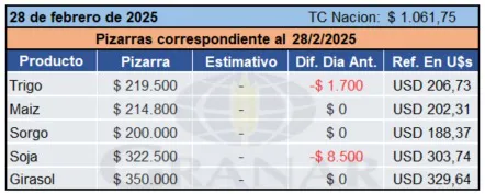 WhatsApp Image 2025-02-28 at 18.11.10