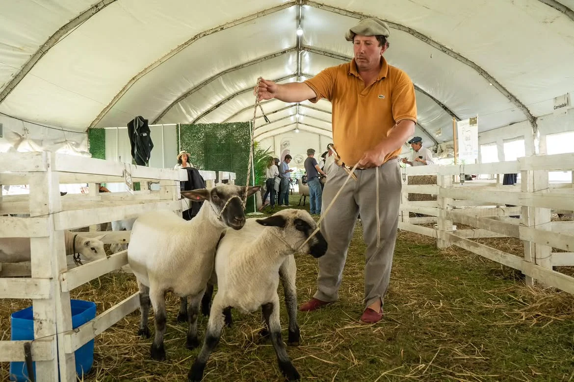 Ya comenzamos a vivir la 8va edición de la Expo Ovina de Urdinarrain 🐑🤩Te esperamos con gastr (3)