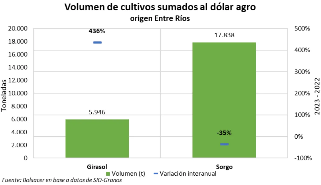 nota_20230606_grafico3