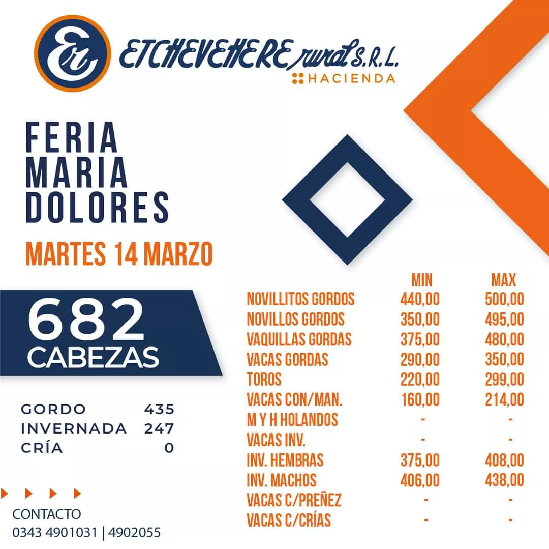 WhatsApp Image 2023-03-15 at 09.32.30