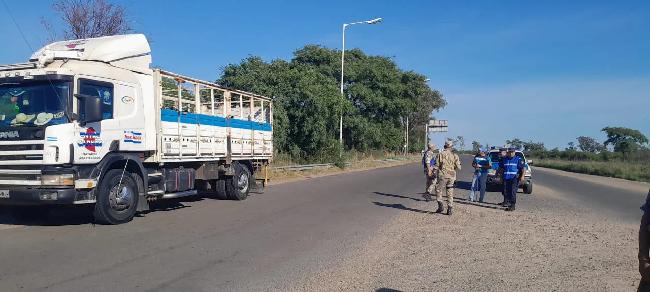 WhatsApp Image 2025-04-04 at 16.29.27