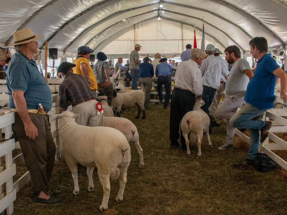 399061484_730186092471795_1834592557791396342_n (1)