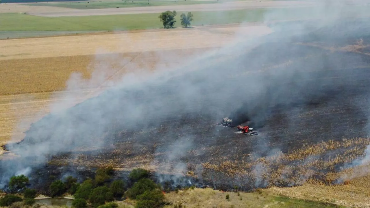 334165364_143638718571859_6683066589286411557_n