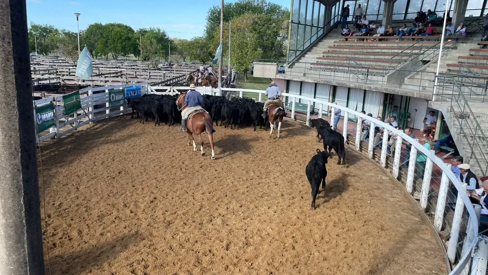 481300109_2477197495960594_8023131121229791557_n