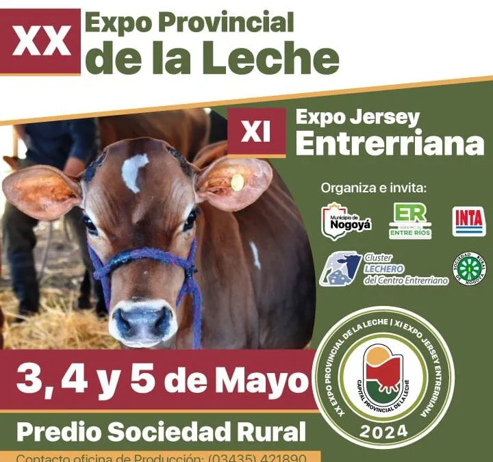 431300929_826712092834222_8391744953833902487_n-720x675