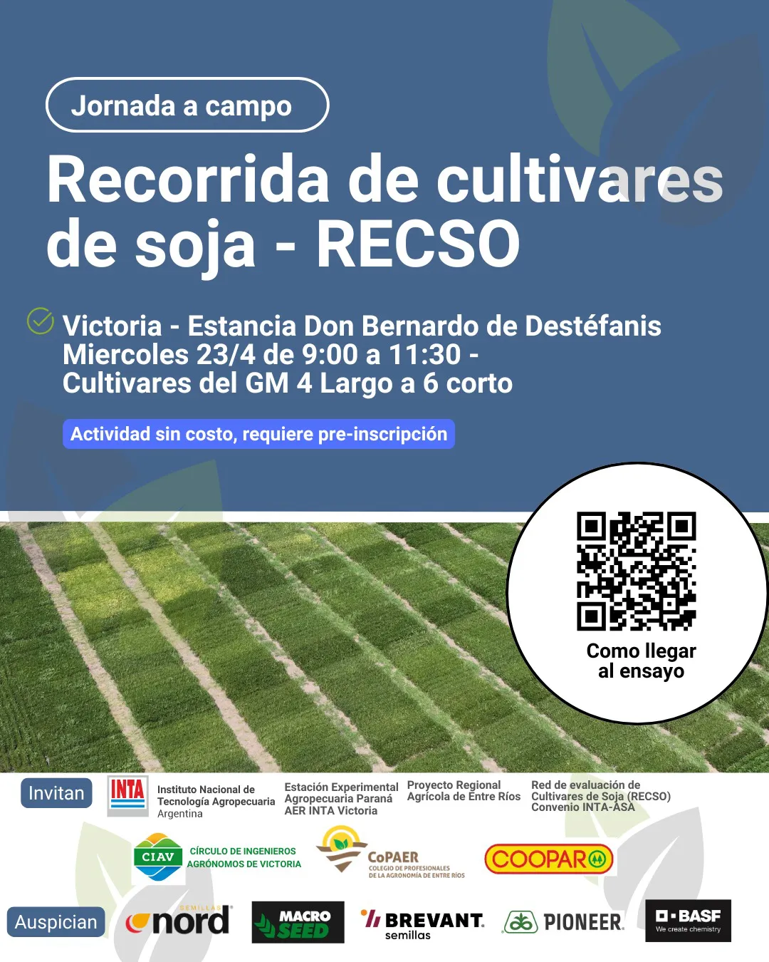 WhatsApp Image 2025-04-17 at 22.04.43