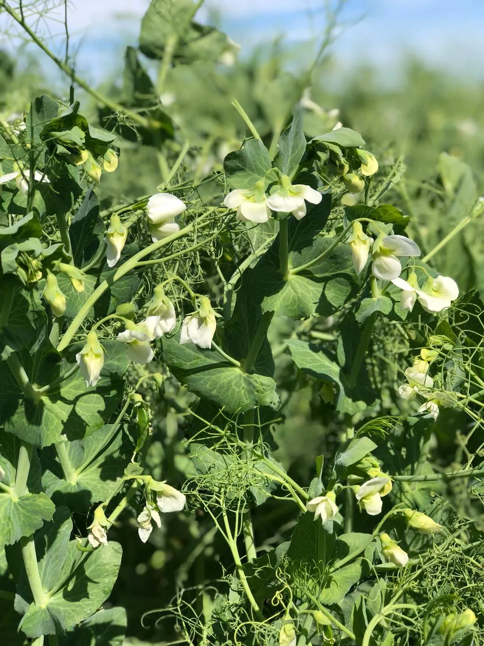 2b9e83c9-a263-484a-b1ae-45a5c1e0780b