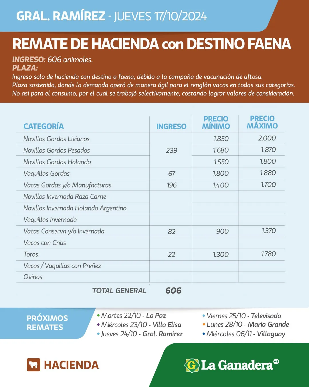 WhatsApp Image 2024-10-17 at 13.58.31