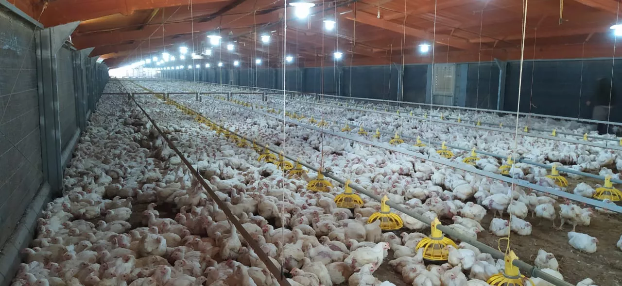 WhatsApp Image 2023-02-23 at 12.35.24