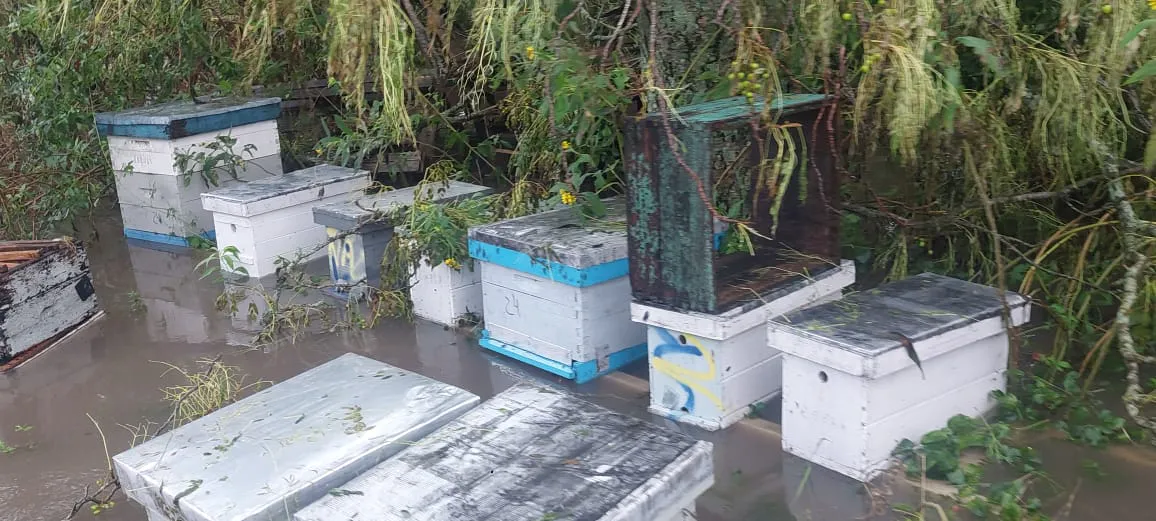 04b4acac-08f2-4c2b-9678-419d7436268e