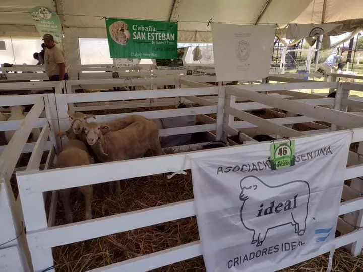 313437264_556957463101224_8242153282302590852_n