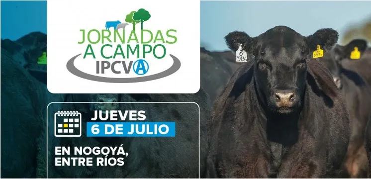 jornadaipcva