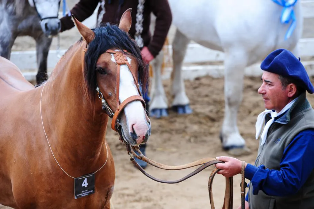 457019974_997919322344437_4265887565476174955_n