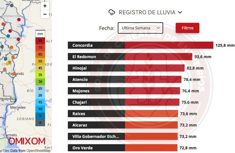 Sin_título-8R1C1 (25)