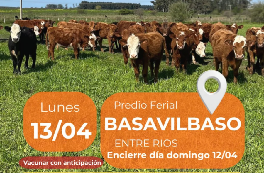 WhatsApp Image 2026-04-10 at 9.14.40 AM