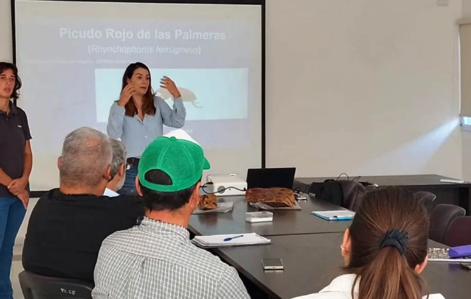 Sin_título-7R1C1 (18)