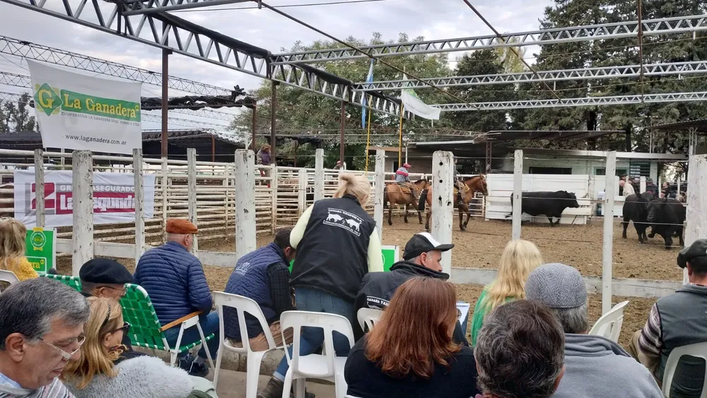 WhatsApp Image 2024-05-03 at 17.35.10 (1)