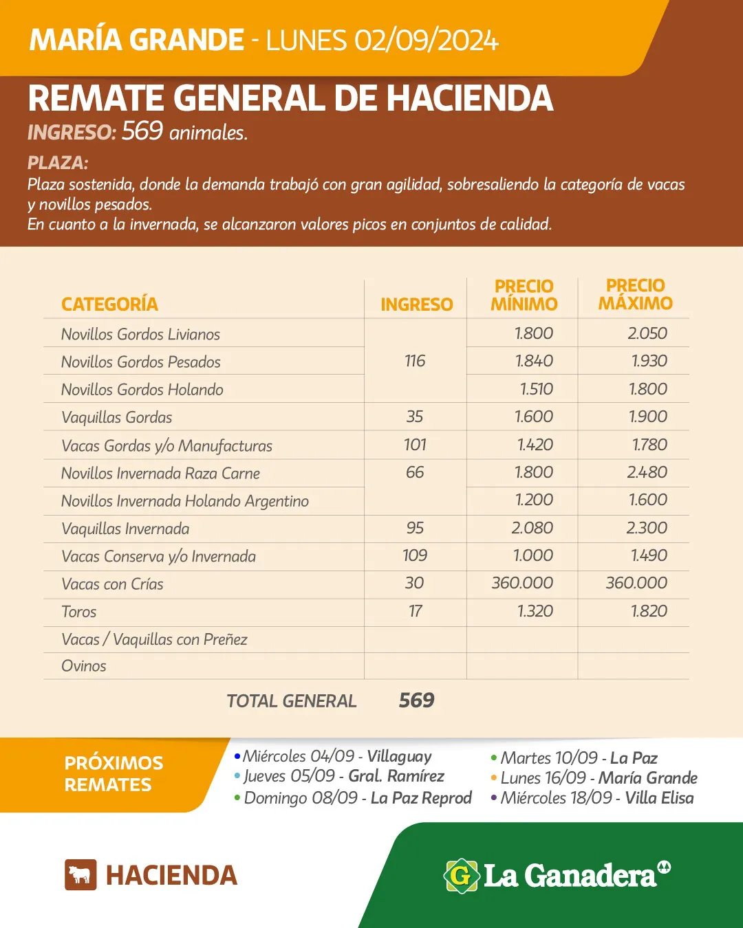 WhatsApp Image 2024-09-03 at 07.38.01