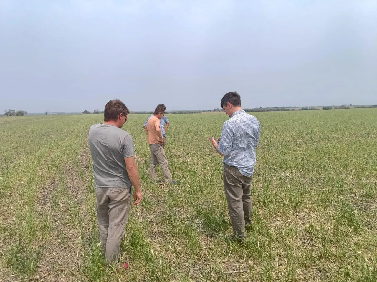 461410755_994188602752997_5199809348487245642_n