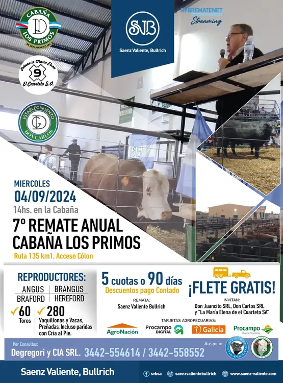 WhatsApp Image 2024-09-02 at 10.40.18