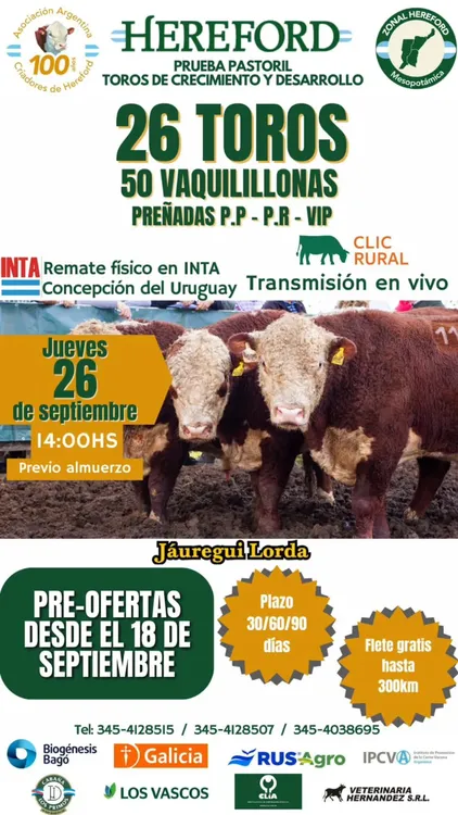 WhatsApp Image 2024-09-17 at 12.46.21