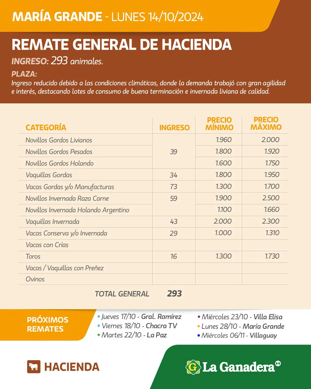 WhatsApp Image 2024-10-14 at 17.18.39