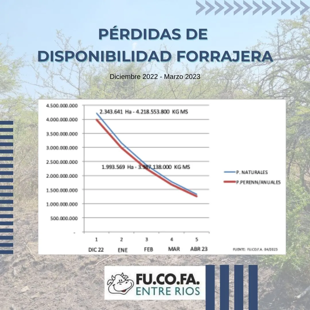 348429610_761075875553822_213732375992939029_n