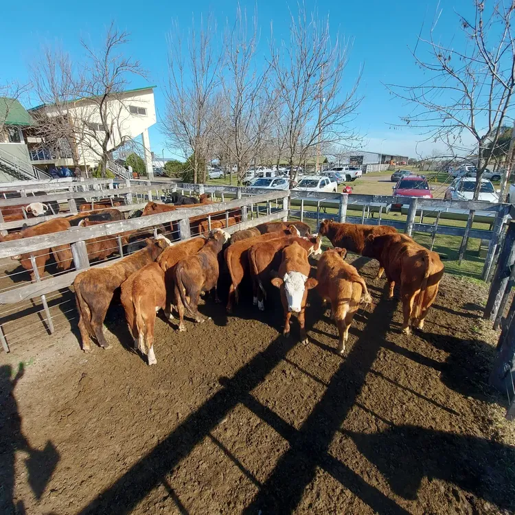 453273289_792784883070168_951901584684184358_n