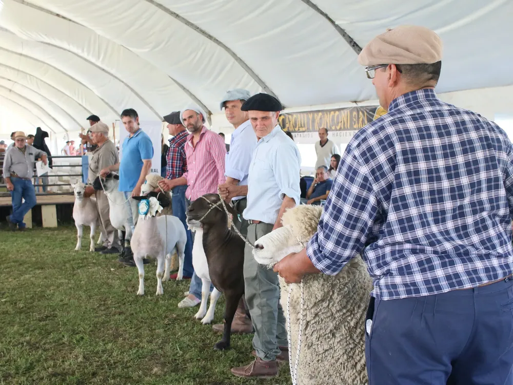 398929718_730176525806085_8443662108715989523_n