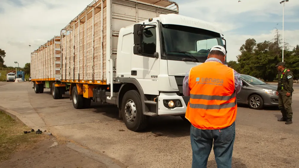 whatsapp_image_2024-09-12_at_15.06.52