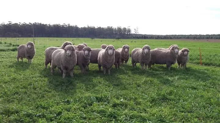 242119335_2346222738846642_3117511756518755194_n