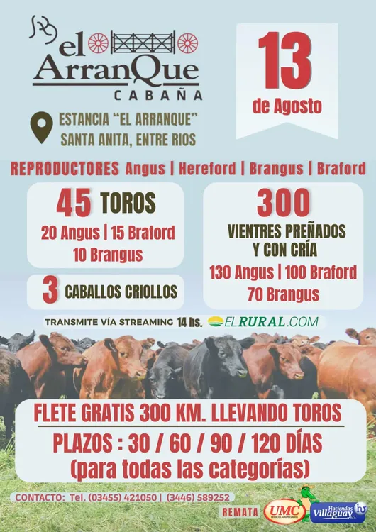 WhatsApp Image 2024-07-22 at 09.59.40 (2)