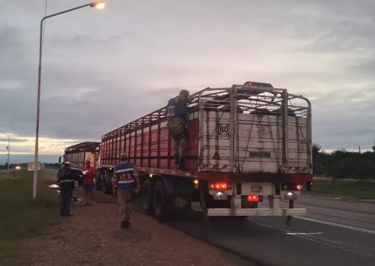 WhatsApp Image 2025-04-04 at 16.29.26